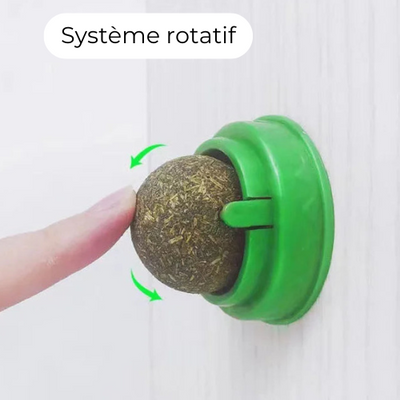 Roulette | Catnip Spinning Game 