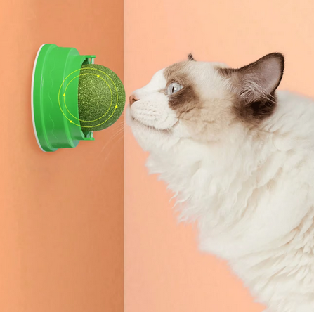 Roulette | Catnip Spinning Game 