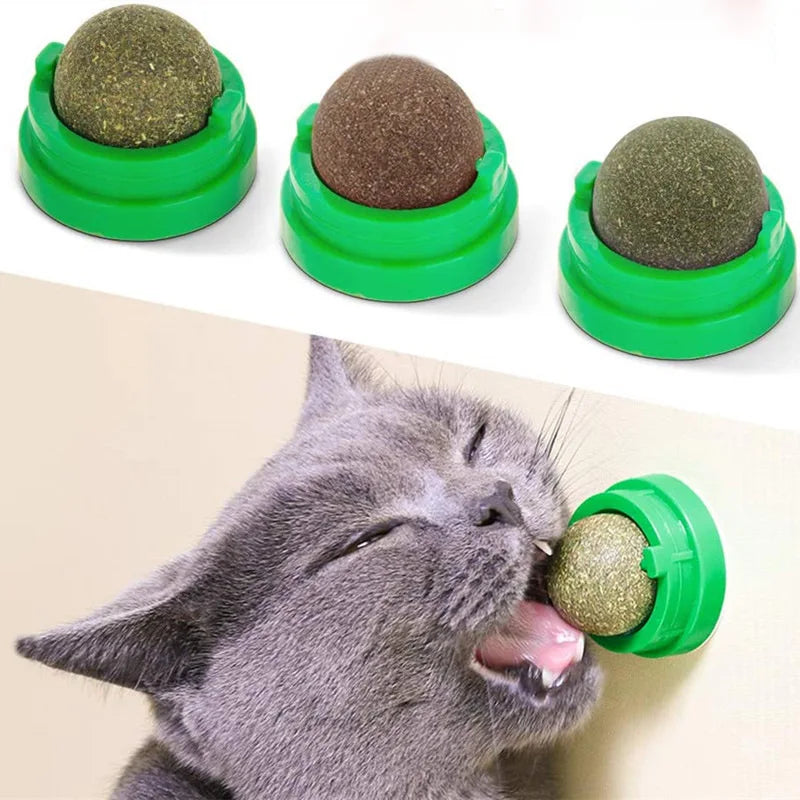 Roulette | Catnip Spinning Game 